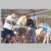 Dorffest 2015 (23).jpg